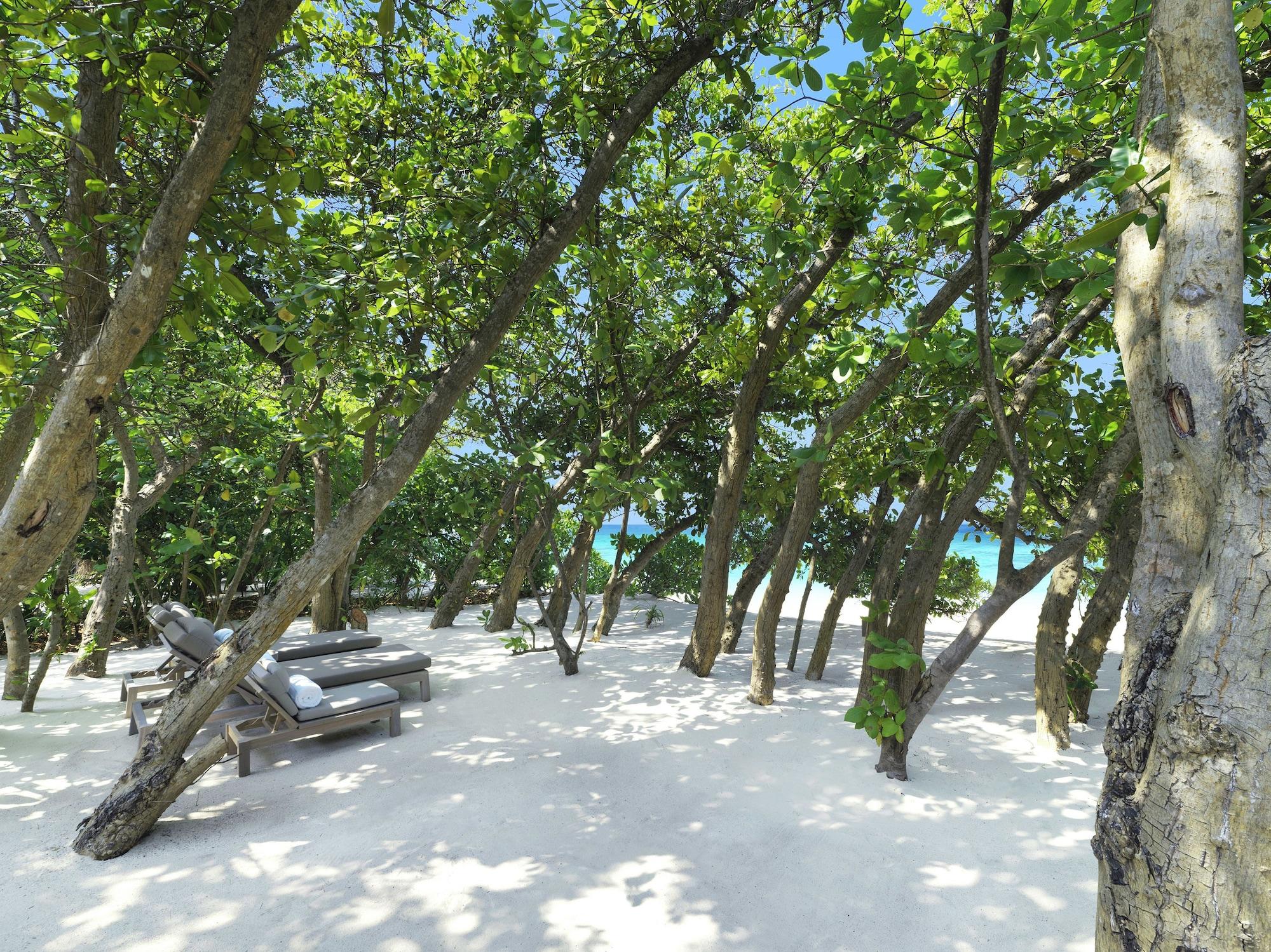 Vakkaru Maldives - 30 Percent Off On Seaplane Transfers For Stays Until 19 Dec 2025 Thulhaadhoo Eksteriør bilde
